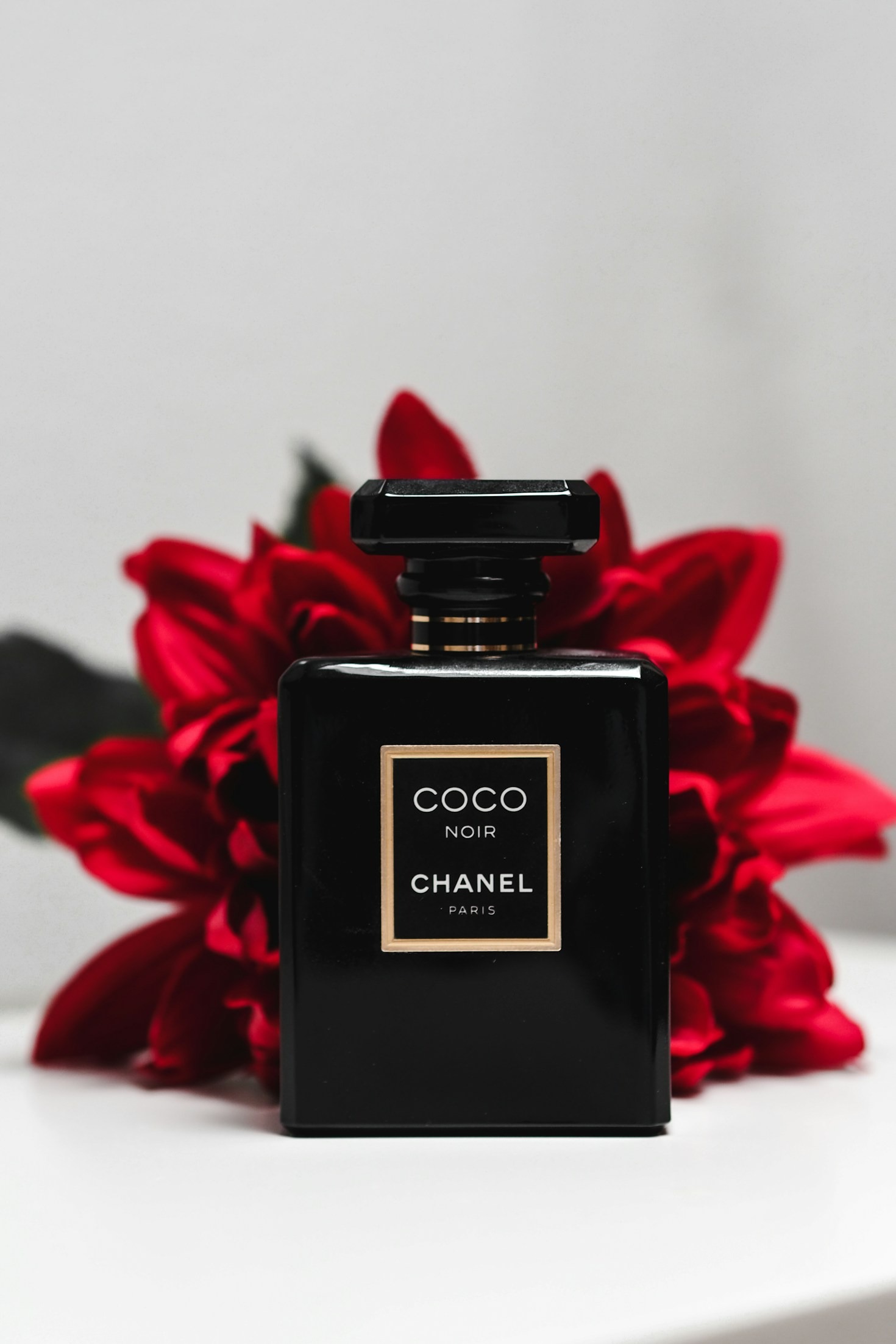 A Guide to Understanding Oud Fragrance Profiles